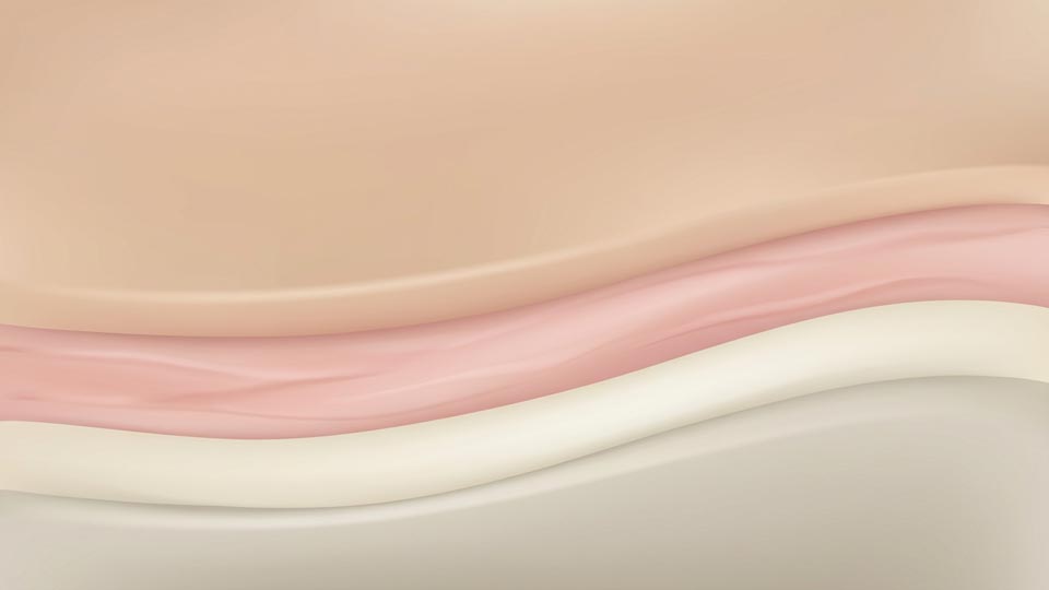 Representación colágeno