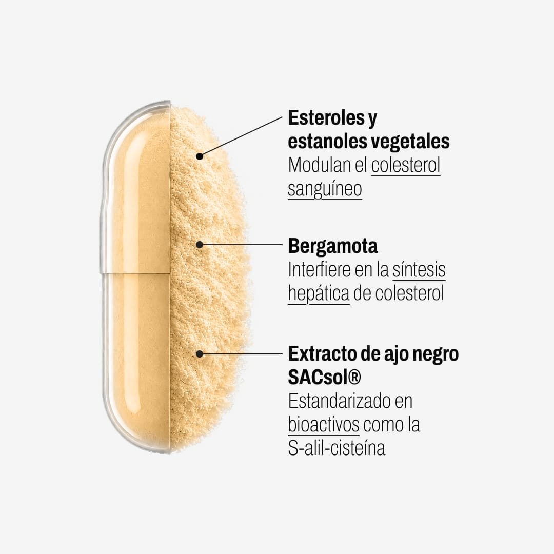 Lipid Support (60 Veggiecaps) - 3