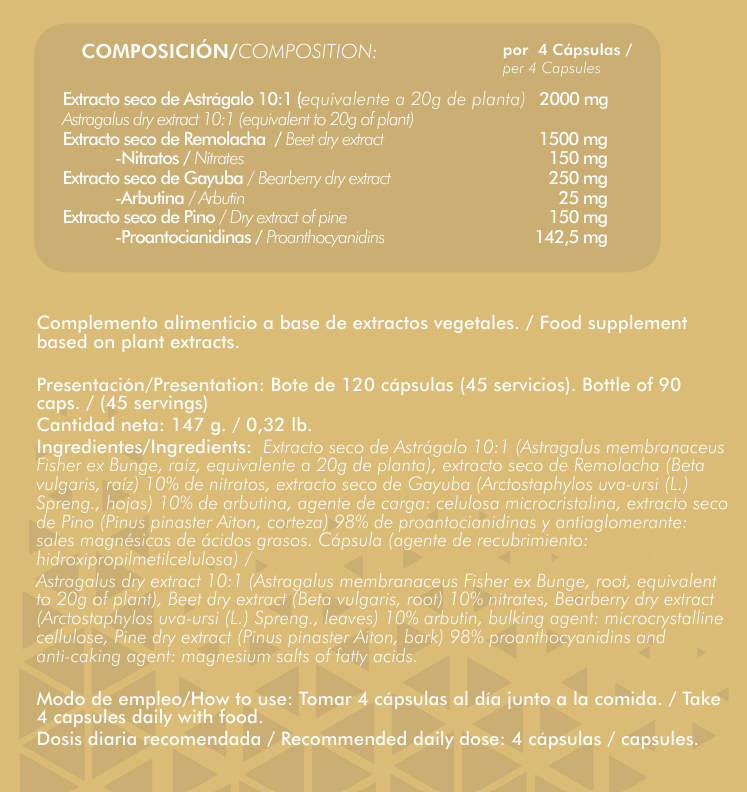 Kidney Support (120 veggiecaps) - Alpha Supplements - 2